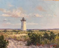 Afternoon Light 