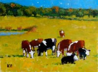 Cows at Keith Farm