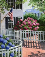 Edgartown Summer Morning