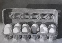 Carton of Eggs