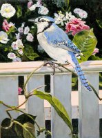 Garden Visitor