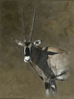 Gold Collection - Oryx