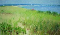 Grasses at Oak Bluffs Beach