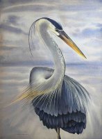 Great Blue Heron
