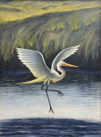 Great Egret in Marsh