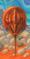 Horseshoe Crab