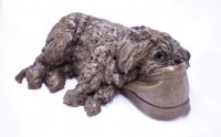Hush Puppy