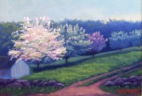 Springtime in New England