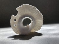 Sea Splash