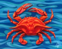 Orange Crab