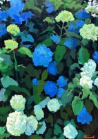 Hydrangea's