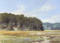 Marsh Study