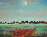 Poppy Field in the Moonlight