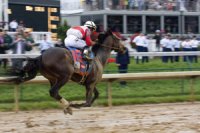 Winner of the Kentucky Derby - Orb