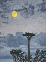 Osprey Nest, Oak Bluffs