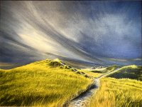 Philbin Beach Dunes
