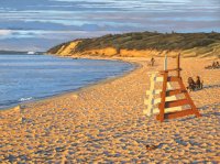 Remnants ( Lamberts Cove)