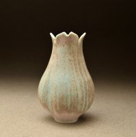 Lobed Turquoise-Pink Tulipform
