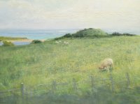 Sheep and the Sea