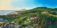 Squibnocket Sandy Dunes
