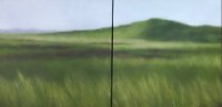 Summer Moors