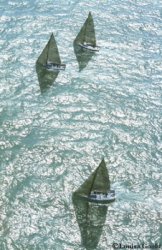 Three Sailing