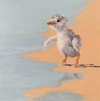 Leap of Faith IV