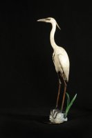 Heron in Sea Grass