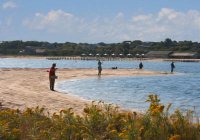 Fishing the Vineyard