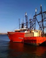 Red Fishing Boats