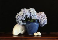 Blue Vase and Nautilus