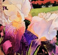 Purple and White Irises
