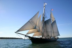 Vineyard Tall Ship