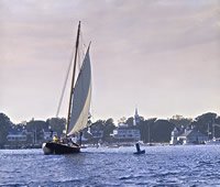 Vela -Edgartown Harbor