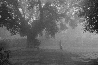 Felicia Murray - Gandi Meditation Garden, Delhi 