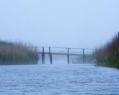 Tim Coy - Quansoo Bridge 
