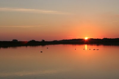 Louisa Gould  - Cow Bay Sunrise