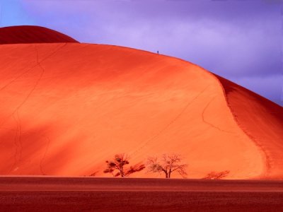 Alan Brigish - Sossusviei Dune