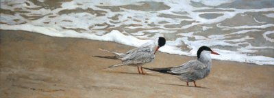Linda Besse - One Good Tern Deserves Another