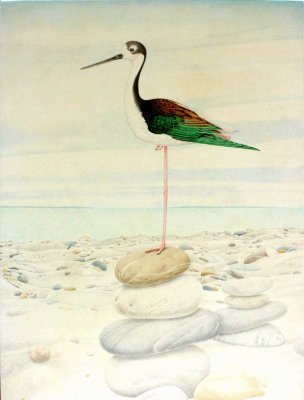 George Brown - Black Stilt on Karn Oil