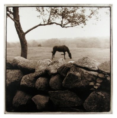 Janet Woodcock - Chilmark Meadow