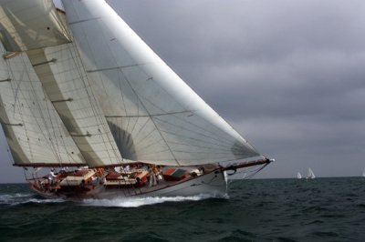 Louisa Gould  - Juno Approaching the Line