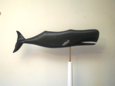 Mark Sutherland - The whale
