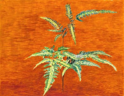 Carol Rowan  - Japanese Fern 