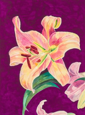 Carol Rowan - Pink Lilly 