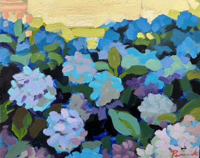 Nick Paciorek - Hydrangeas