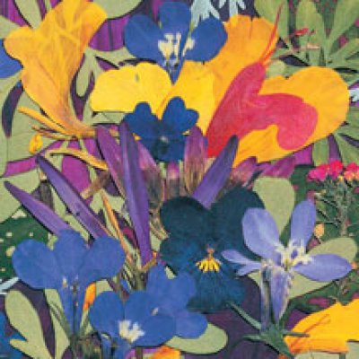 Peggy Turner Zablotny - Garden Tapestry 
