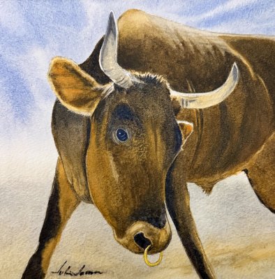 Julien Jarreau - Ag Fair Cow