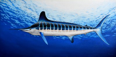 Pepe Conley - Atlantic White Marlin