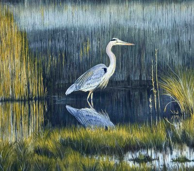 Julien Jarreau - Blue Heron Reflection